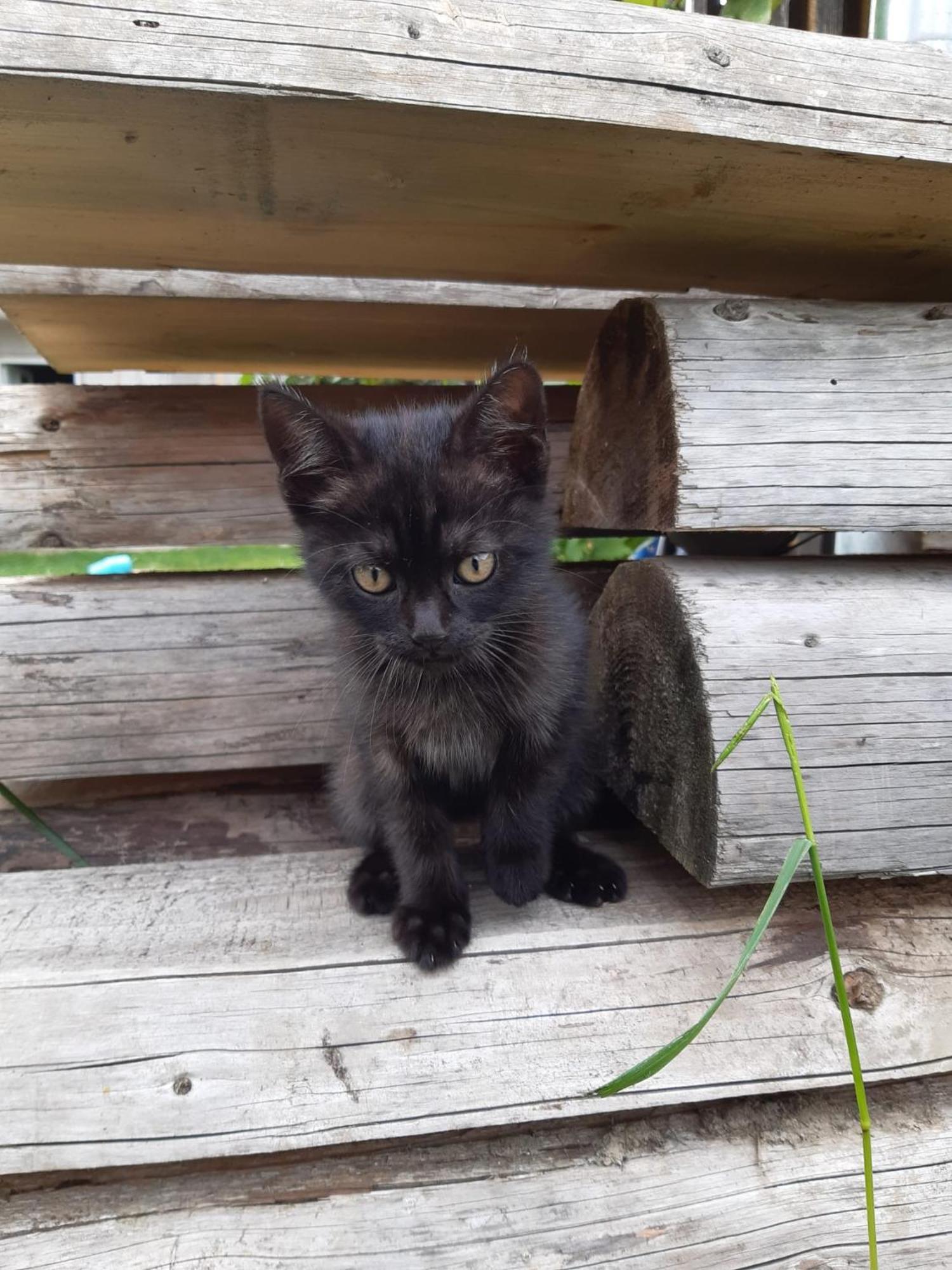 Willa Casa Dyasof Rohia Zewnętrze zdjęcie